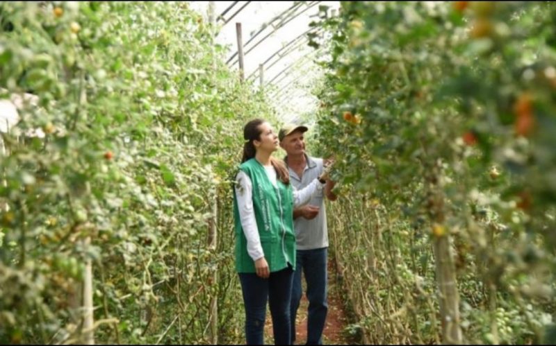 3 12 e1579611211884 Começam as inscrições para curso técnico em agronegócio na Bahia