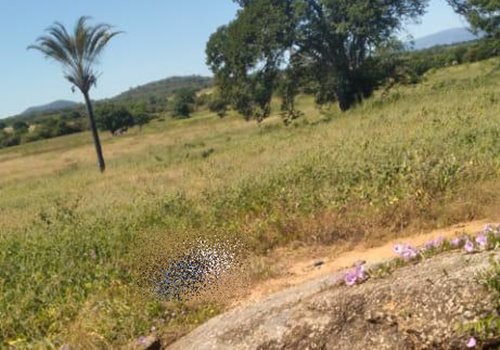 WhatsApp Image 2021 03 28 at 10.34.21 Homem é encontrado morto na zona rural de Guanambi