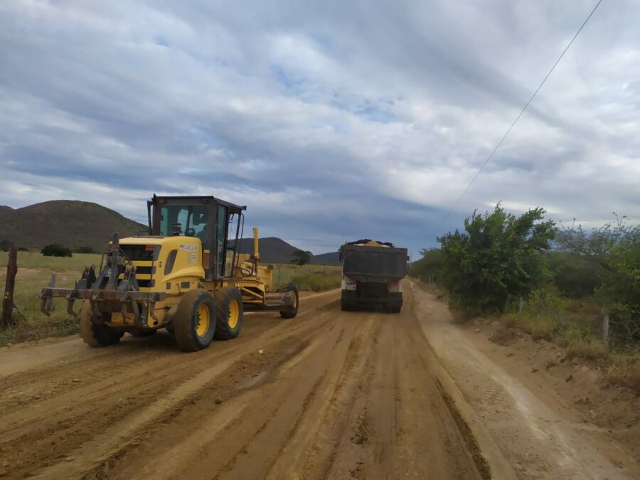 163320202113041 163320202113041