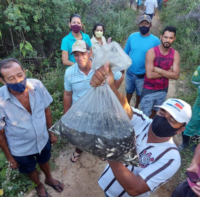 WhatsApp Image 2021 04 15 at 13.29.06 e1618504286764 Associação de Pescadores do Estreito recebe 60 mil alevinos através de ação do Cesol Sertão Produtivo