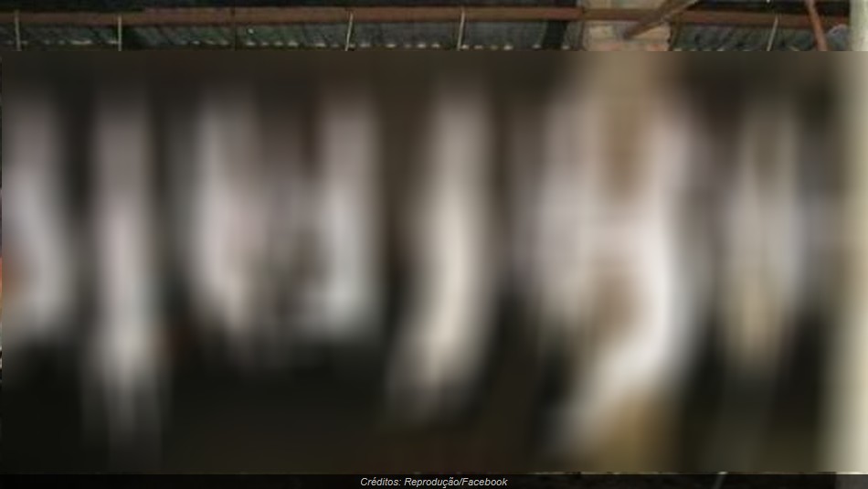 1 150 Fotos atribuídas a família suspeita de matar cães e gatos para fazer linguiça são verdadeiras ou falsas?