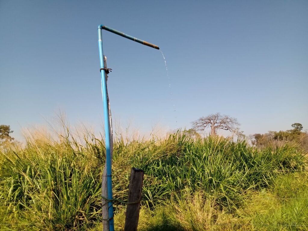 POCOS ARTESIANOS 5 Deputado Charles Fernandes entrega poços artesianos em comunidades rurais de Iuiu