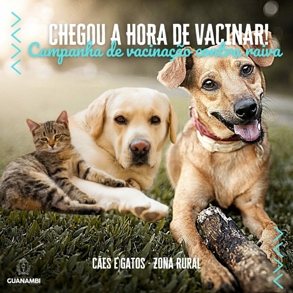 104824202102091 Guanambi inicia campanha de vacinação de cães e gatos contra a raiva