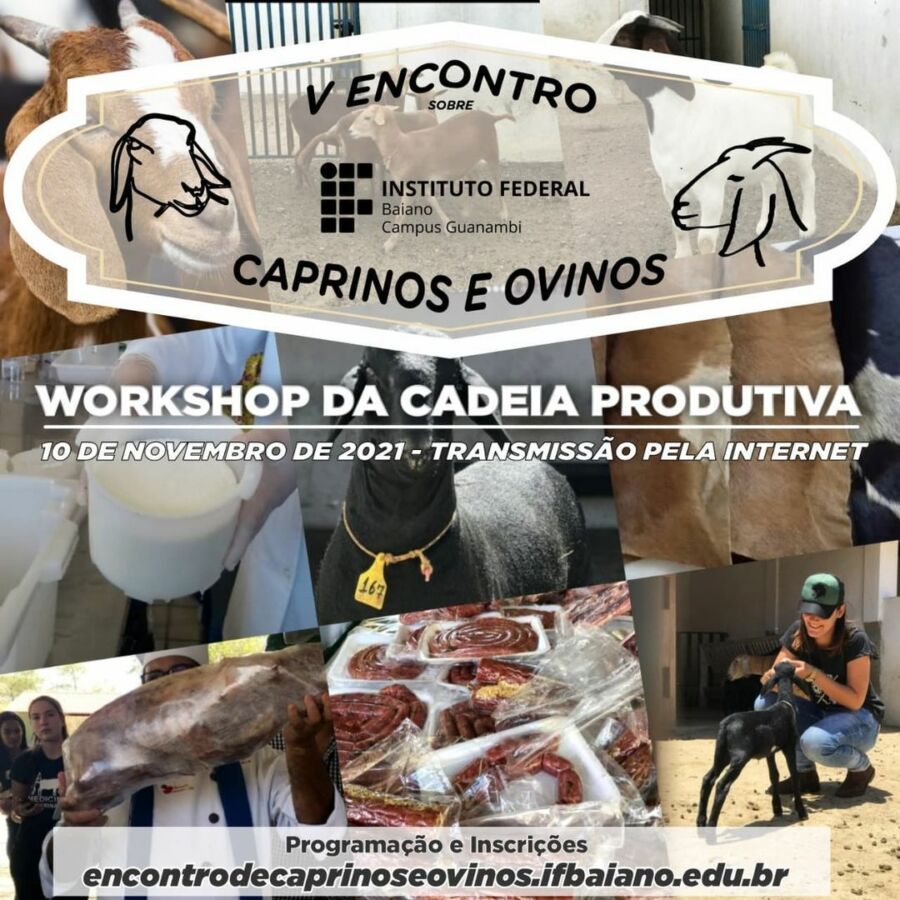 246220919_402096684903457_8480315027448352390_n 246220919_402096684903457_8480315027448352390_n