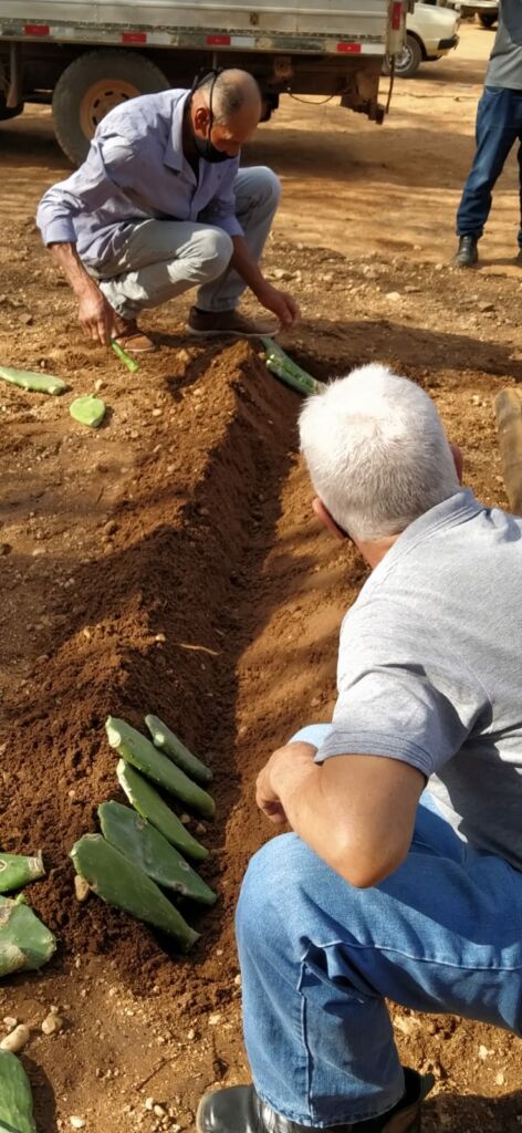 WhatsApp Image 2021 10 01 at 20.29.07 Prefeitura de Urandi realiza palestra sobre o cultivo intensivo da palma