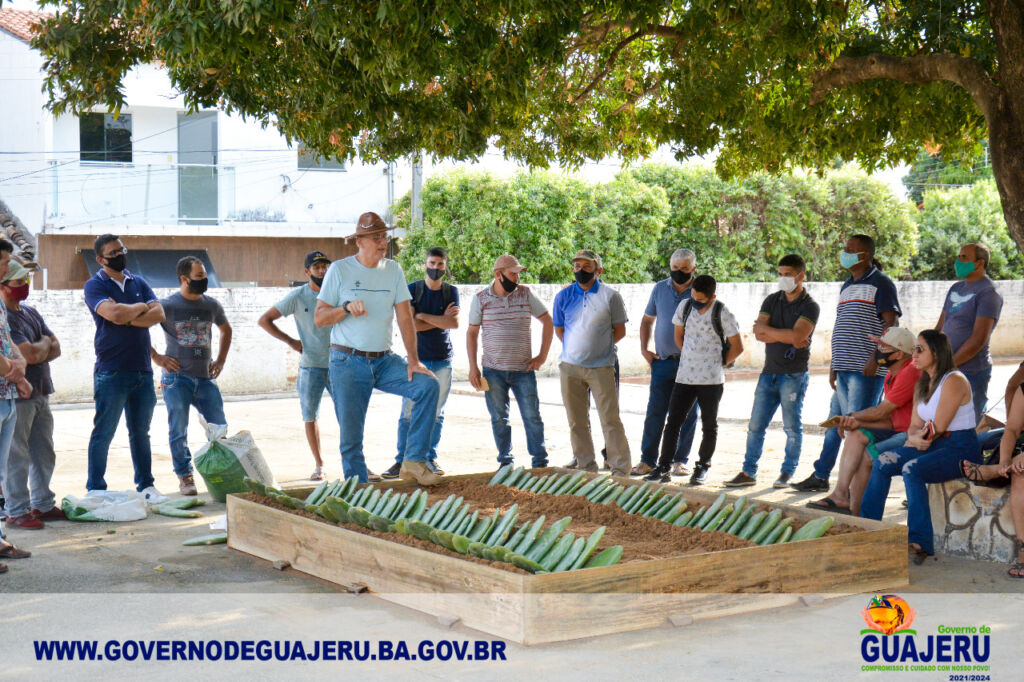 WhatsApp Image 2021 10 02 at 10.20.05 Governo de Guajeru promove palestra sobre cultivo da palma