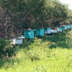 MATERIA 3 Secretaria de Agricultura de Sebastião Laranjeiras foca no fortalecimento da Agricultura Familiar