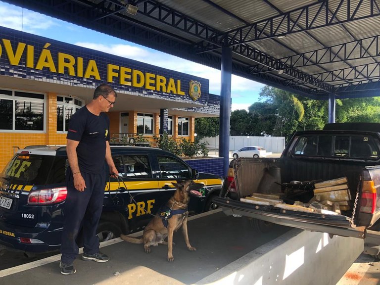 e0c57bff 346a 4234 84e5 21d5443f7d28 Com auxílio de cão farejador, PRF apreende quase 65 Kg de maconha em Vitória da Conquista