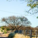 02072022 DSC 7260 Pedal do Sítio Arqueológico do Capim de Raiz