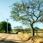 02072022 DSC 7261 Pedal do Sítio Arqueológico do Capim de Raiz