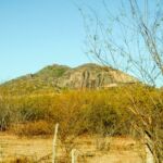 02072022 DSC 7467 Pedal do Sítio Arqueológico do Capim de Raiz