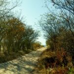 02072022 DSC 7468 Pedal do Sítio Arqueológico do Capim de Raiz