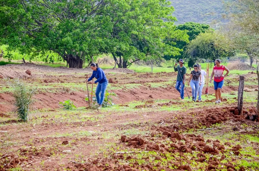 315862860_1517579532086752_2854081273173358581_n 315862860_1517579532086752_2854081273173358581_n