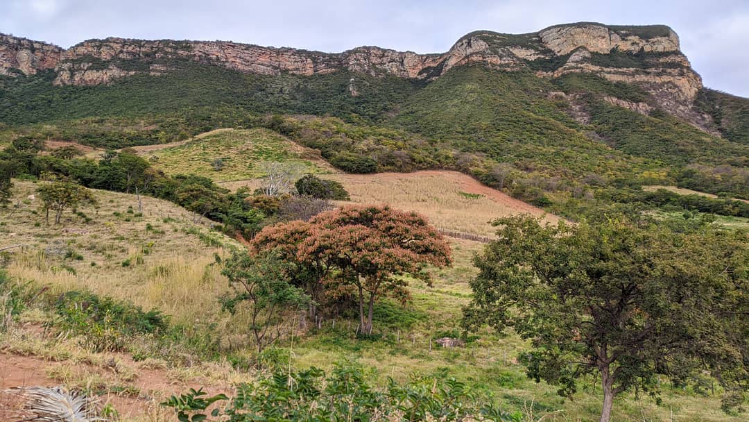 106556665_987445115049766_4226499086926121555_n