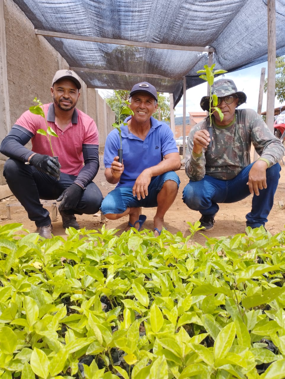 120502202313031 120502202313031