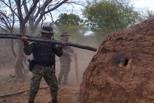 254858ed 8edc 4163 9b5e d57ad2b4e66a Operação conjunta da PM e INEMA combate produção ilegal de carvão em Riacho de Santana