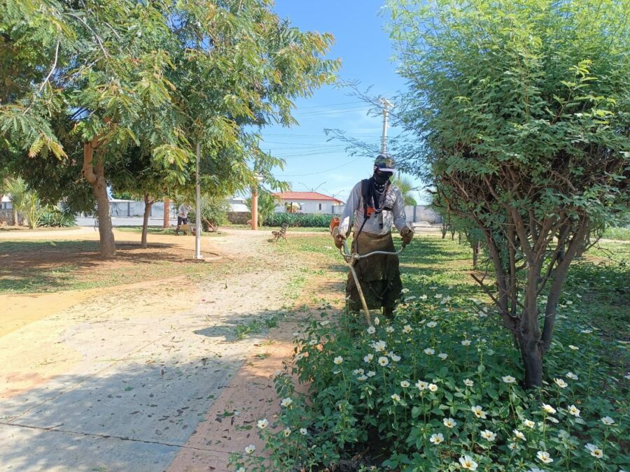 WhatsApp Image 2024 01 31 at 10.55.52 1 Com 60 trabalhadores, Prefeitura de Guanambi inicia mutirão de limpeza por toda a cidade