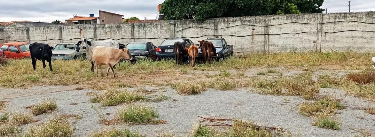 WhatsApp Image 2025-05-14 at 09.43.02 WhatsApp Image 2025-05-14 at 09.43.02