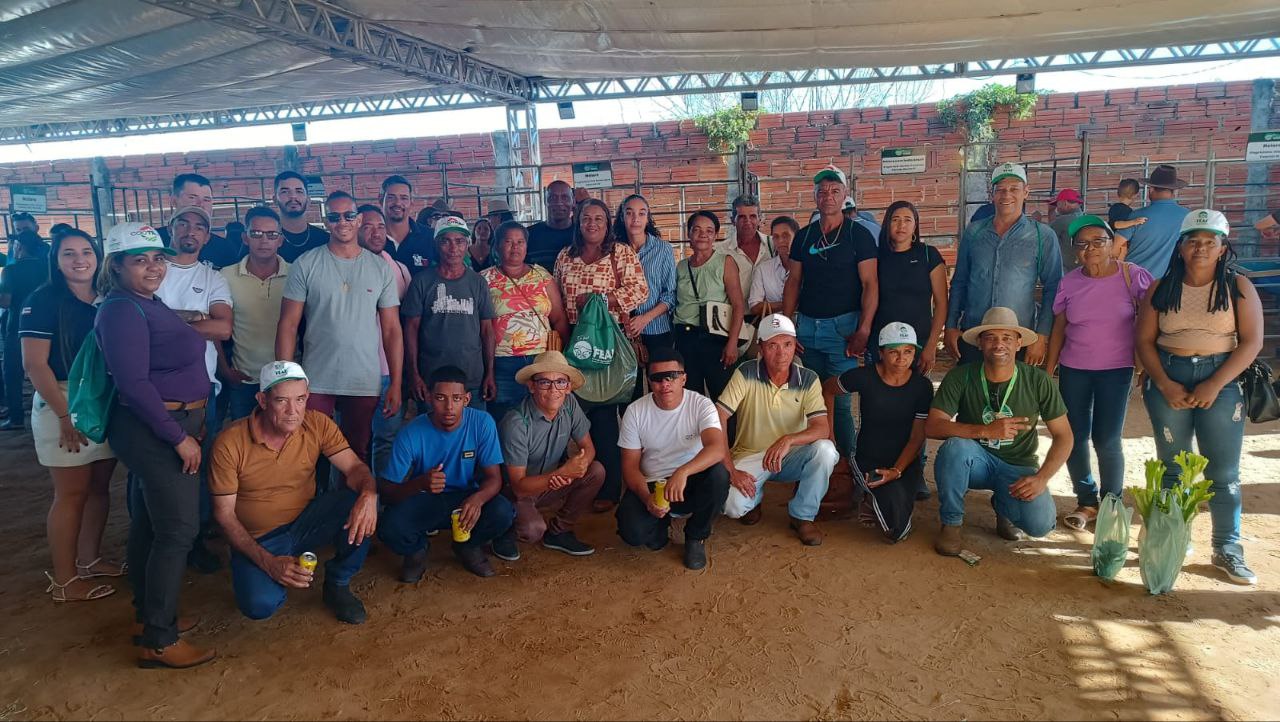 123447202507081 123447202507081