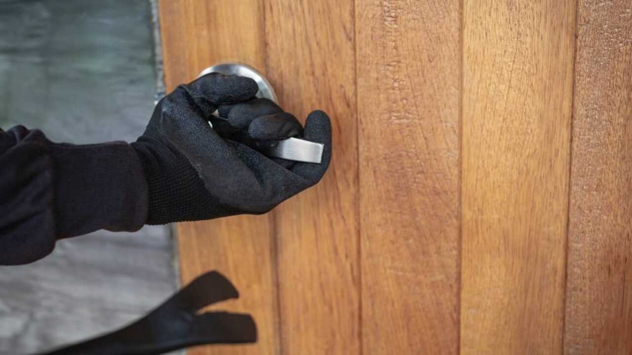 xr:d:DAFIwajbDog:603,j:43432567608,t:23031620 xr:d:DAFIwajbDog:603,j:43432567608,t:23031620