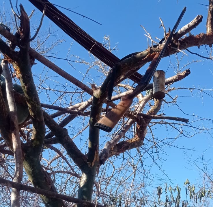 WhatsApp Image 2025 09 29 at 19.59.26 Homem morre após acidente durante caça na zona rural de Jacaraci