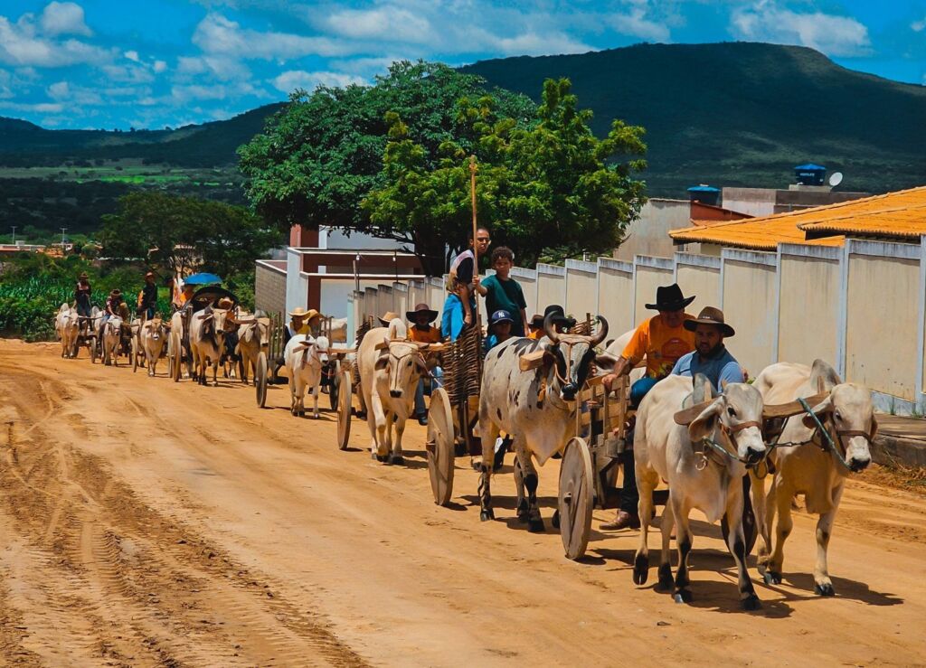 647314109 1487956772896671 5914571546620774529 n 2ª Carreata de Carros de Boi marca comemorações dos 41 anos de Guajeru